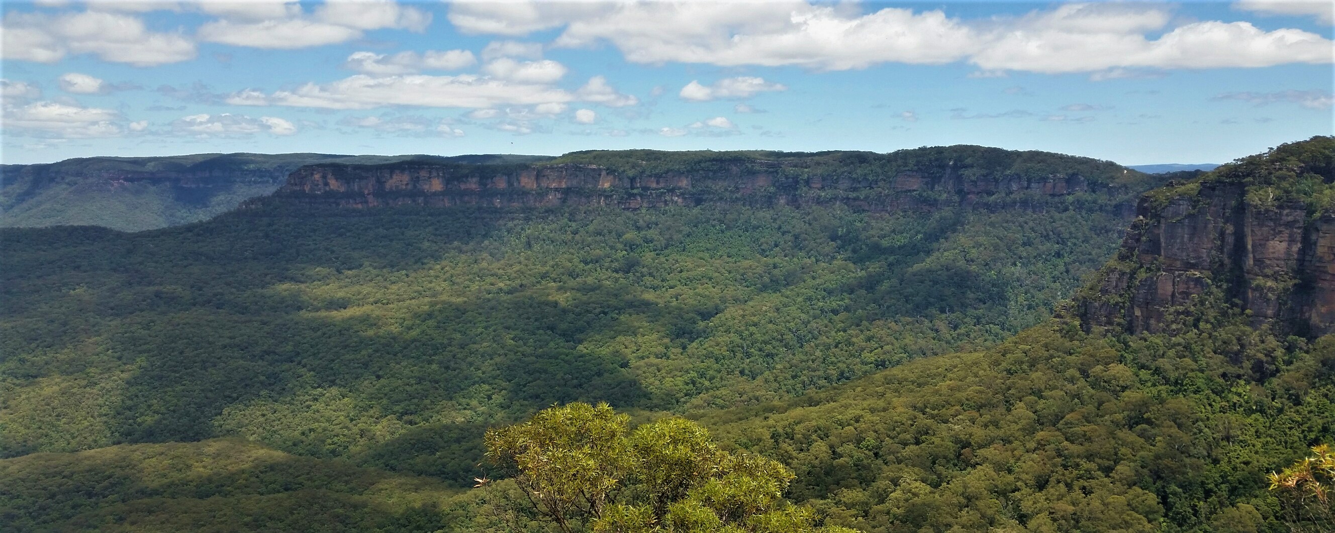 Guide to Sydney